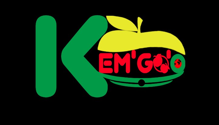 Logo de KEMGO'O